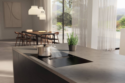 ������������ ������ � �������� Miele KMDA 7876-1 FL MattFinish, ������� KMDA7876-1FLMattFinish � ���� 2